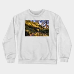 Hiking trail and a tree tunnel Crewneck Sweatshirt